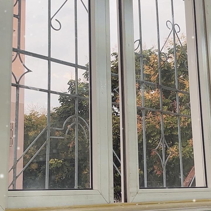 莎莎🌹