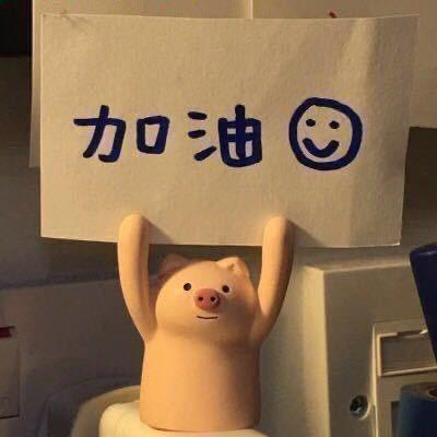 特立独行的猪kiki