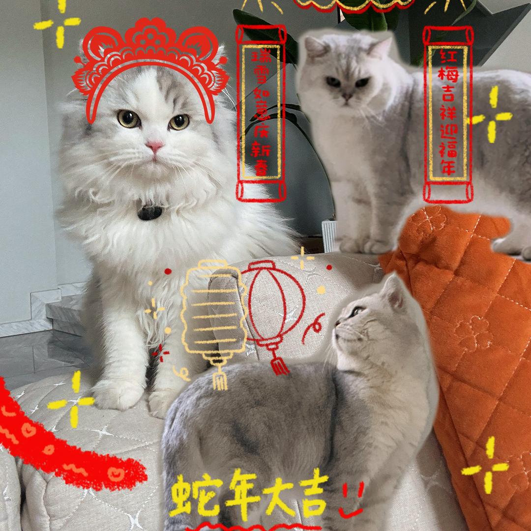 旺仔