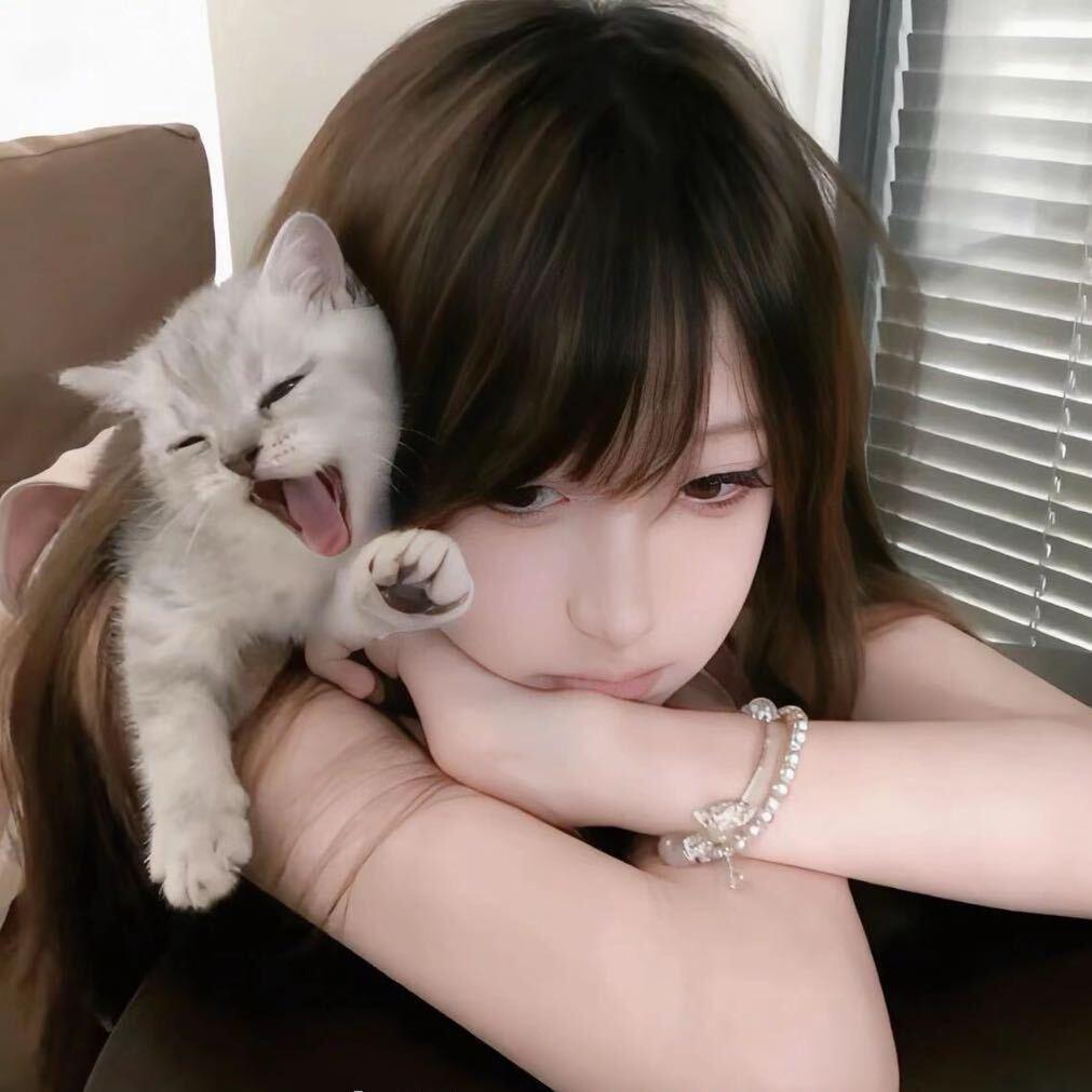 总被鸽