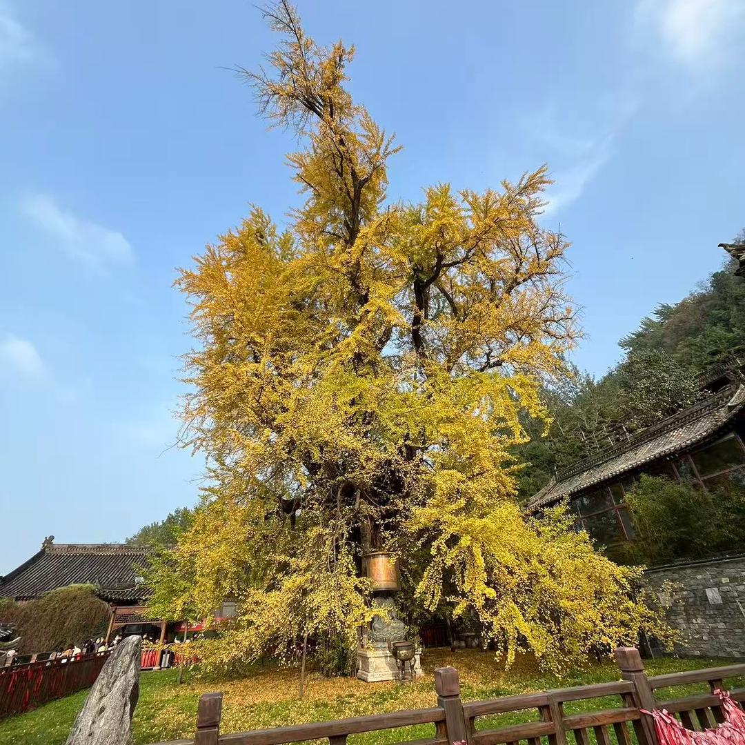 ℳ๓🦌ζั͡℘