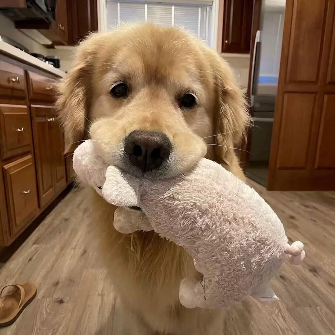 想扔掉细腻的心