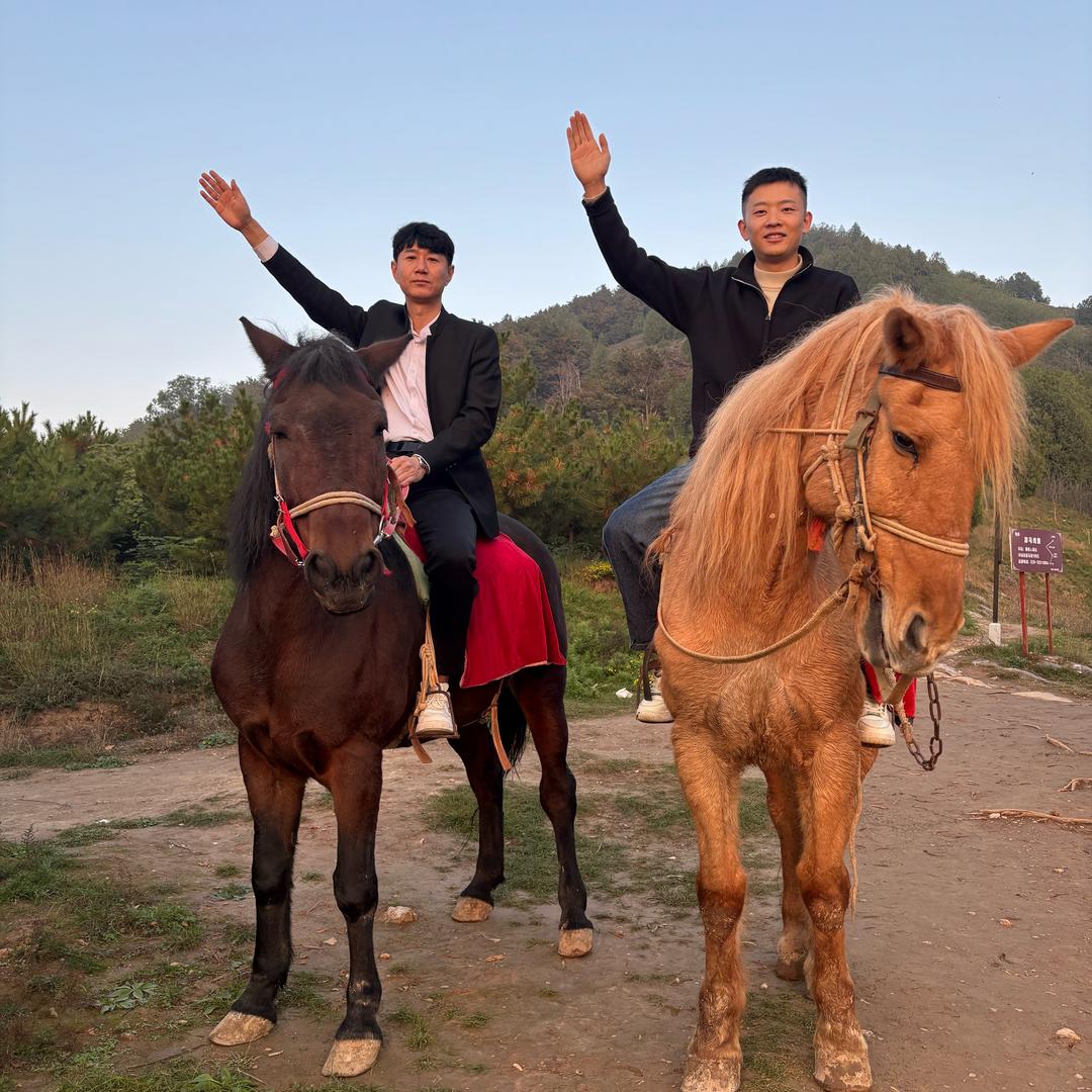 方舟台球俱乐部🎱