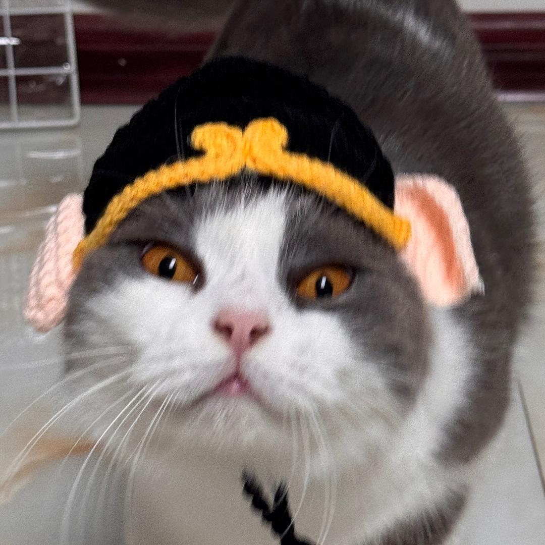 旺财是只猫🐱（当狗版）