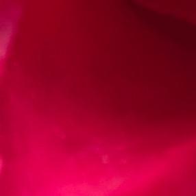 🎵