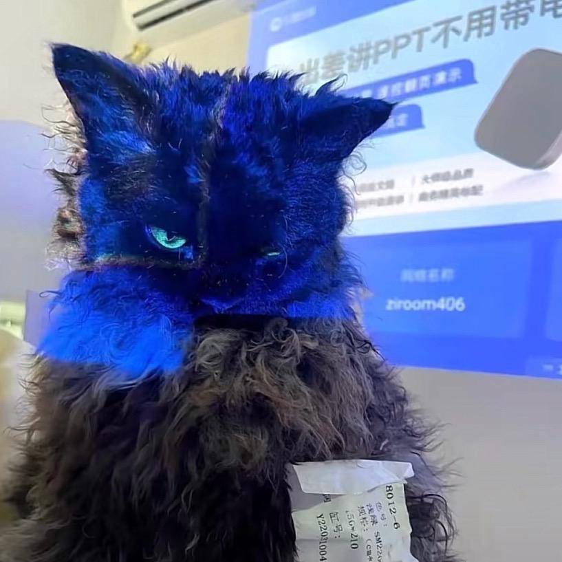 肥猫Demo