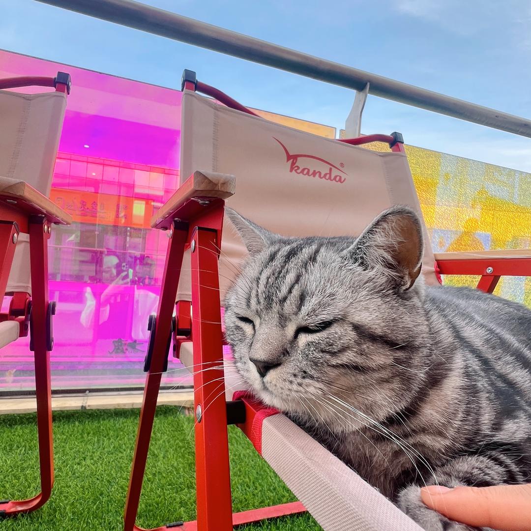 鹤顶绿多冰七分糖