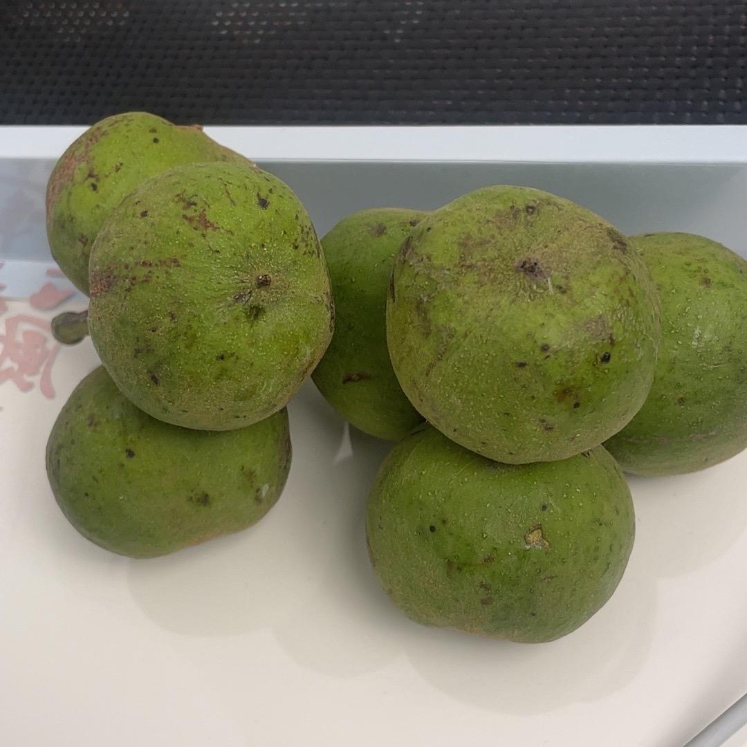 小闹文玩店