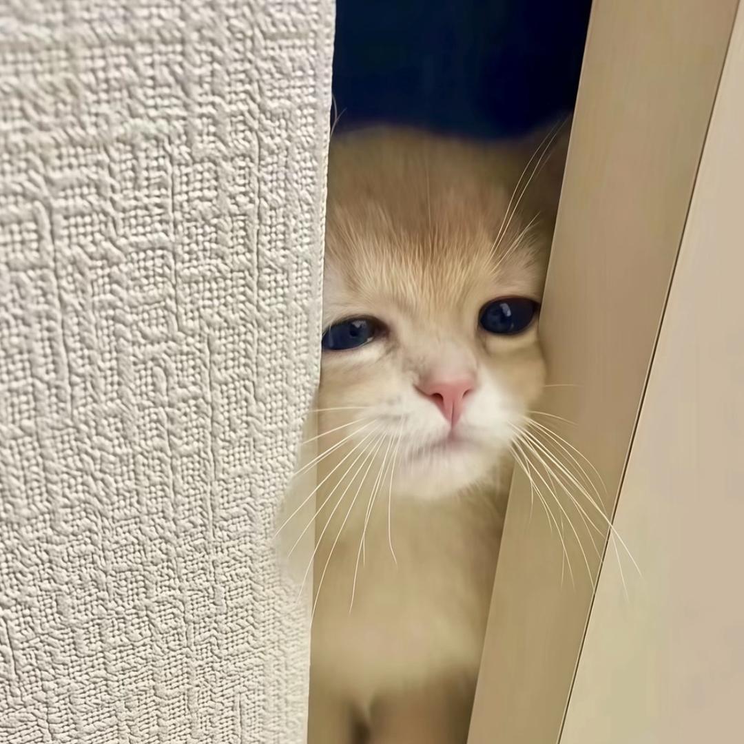 7777