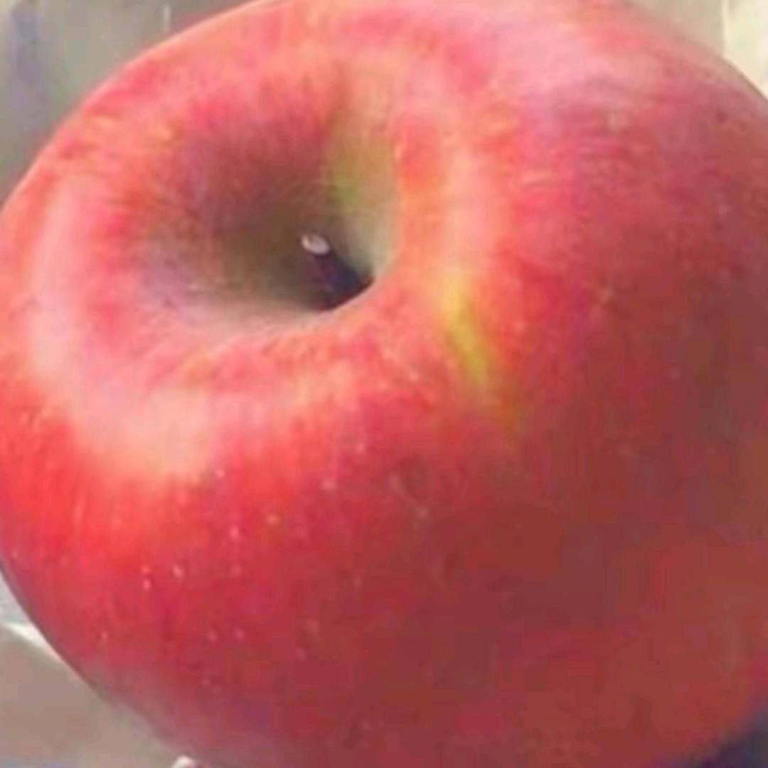苹果🐾