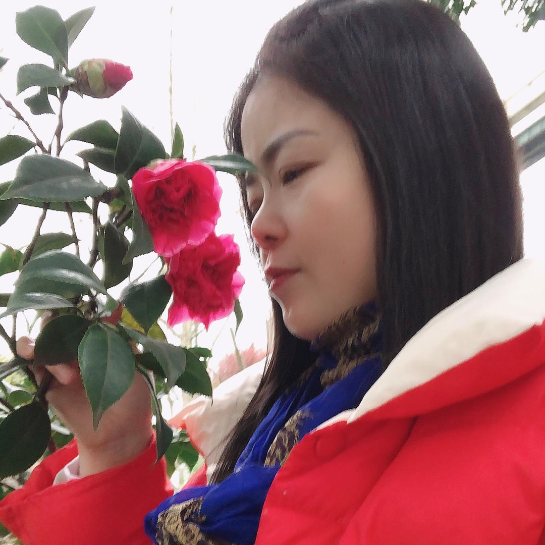 贾妹