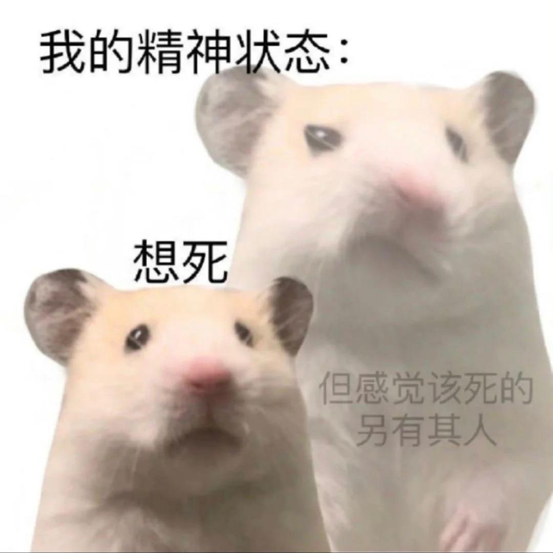 小熊想要变开心