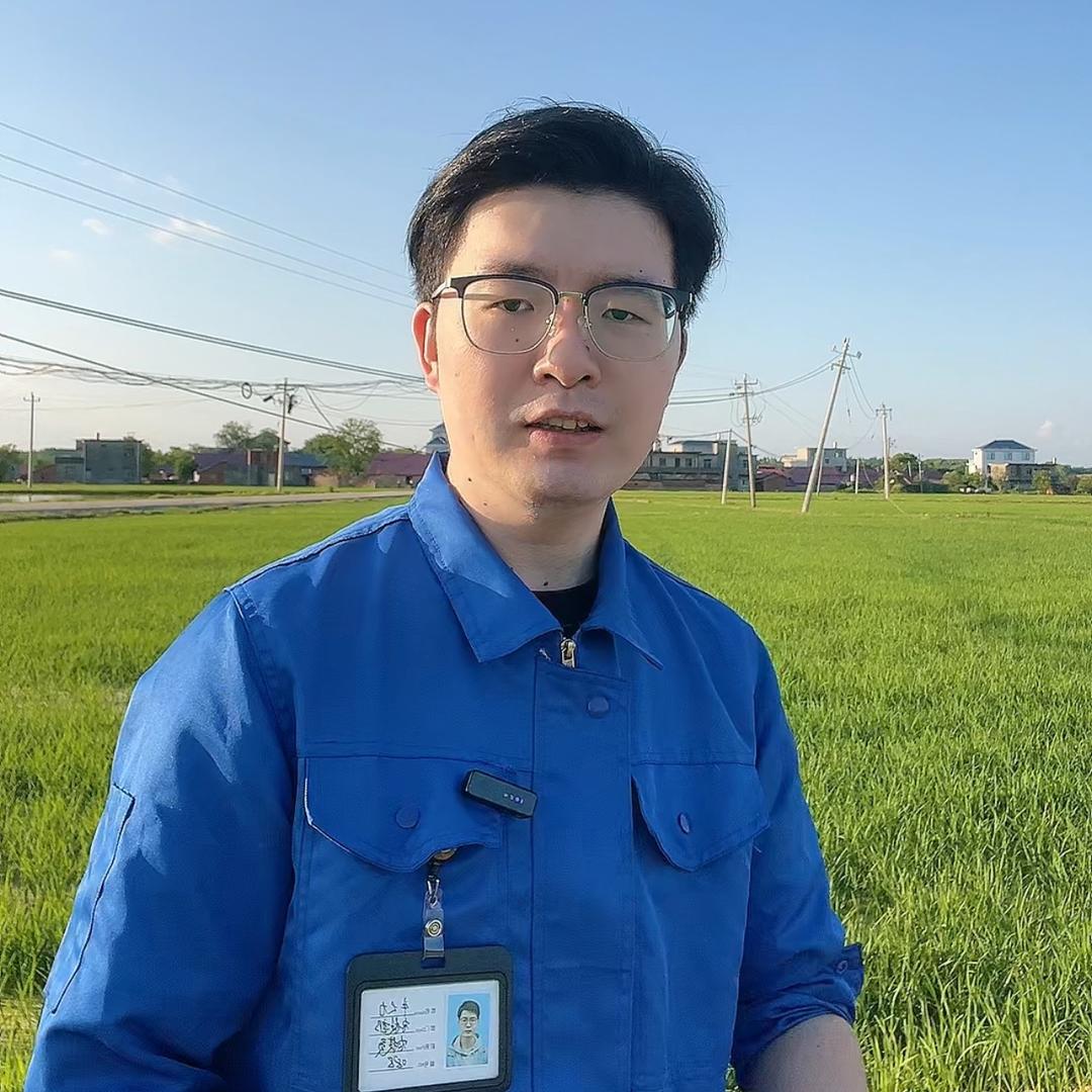 水稻王建军