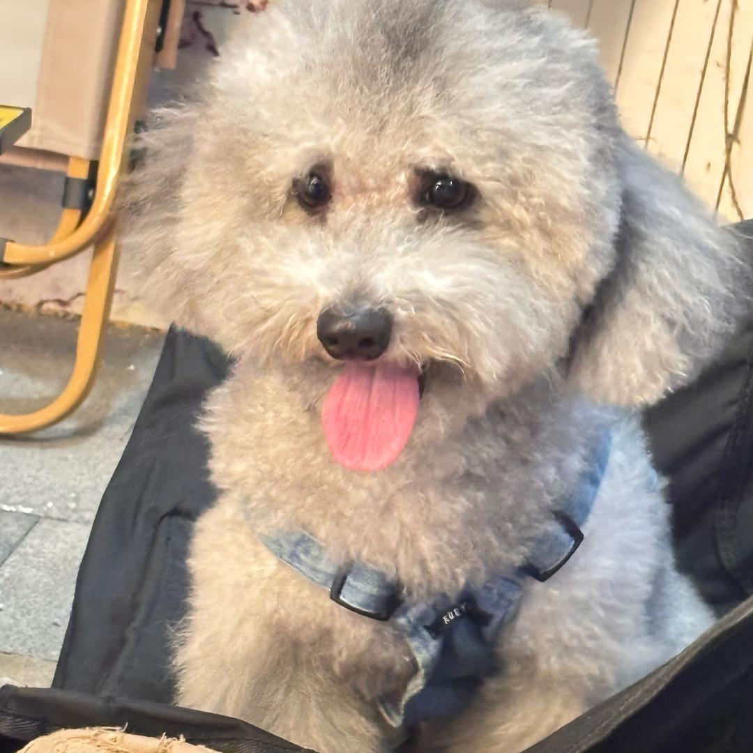 𝗞𝗶𝘁𝘁𝘆𝗹𝗶𝗶𝗼