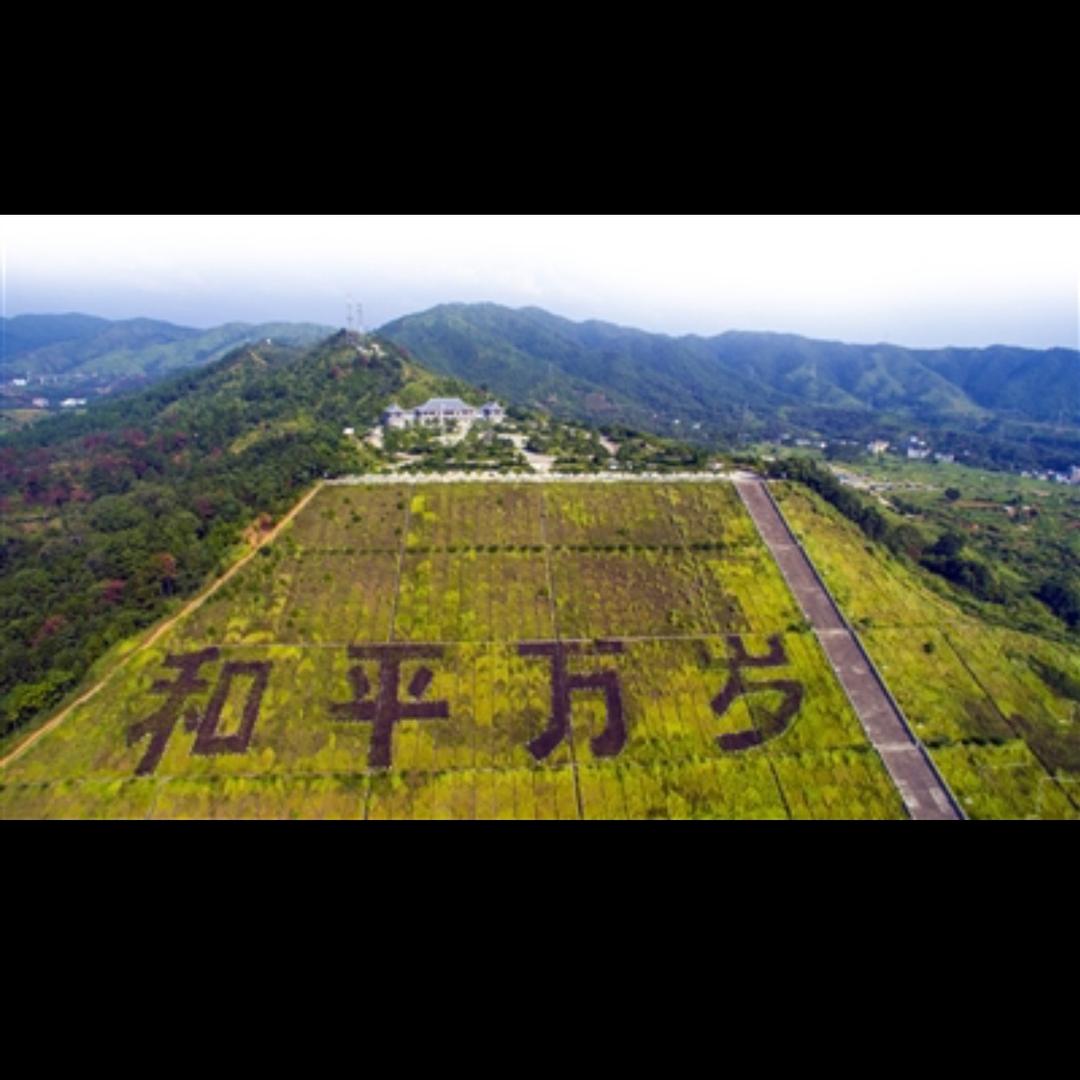 🌈岁月无声