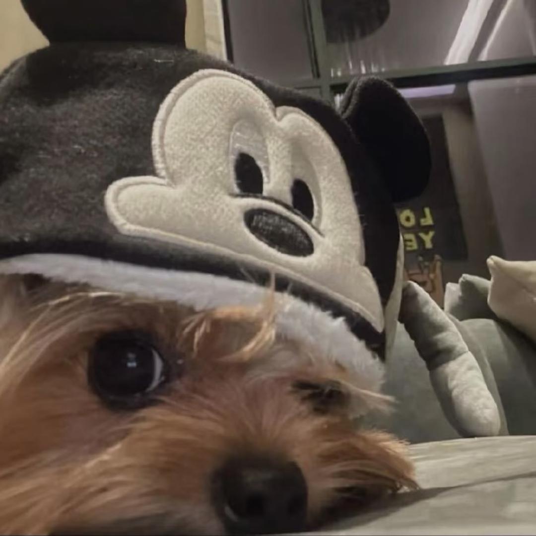 再靠近一点点TvT