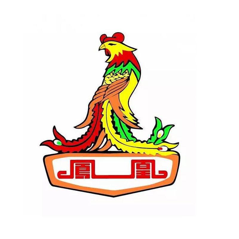 凤凰墨欧童车专卖店