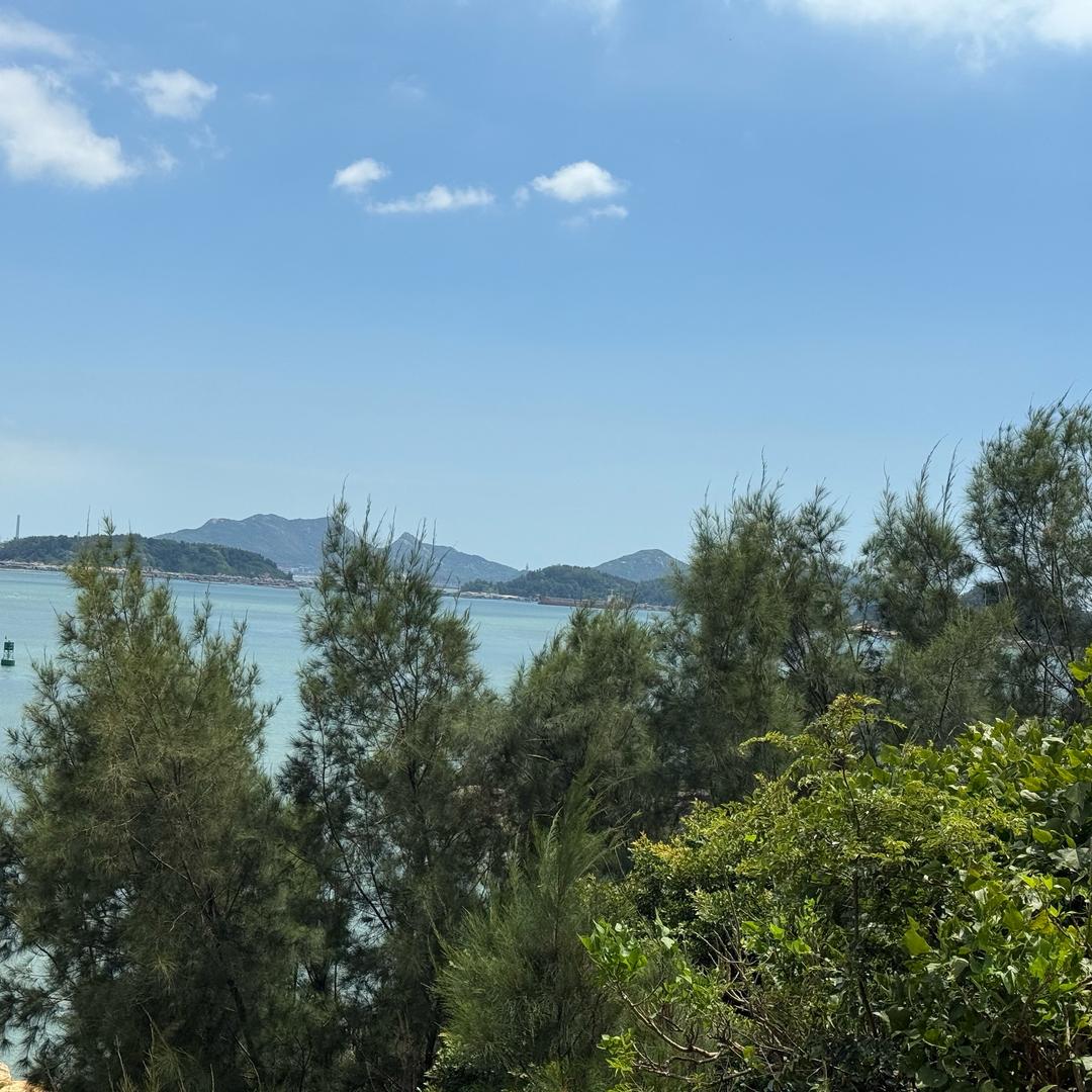 岁岁如今朝