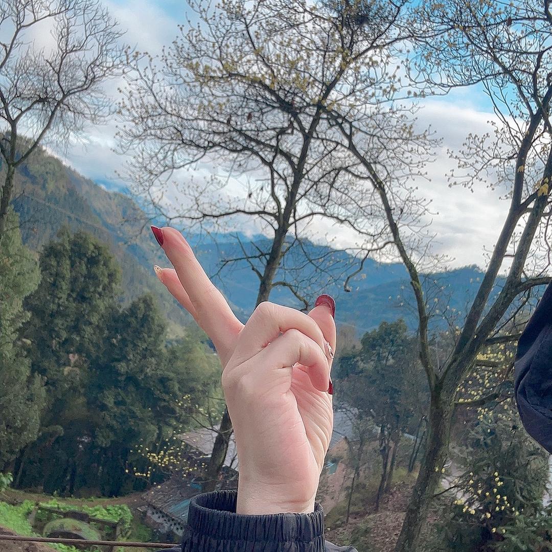 摆烂.