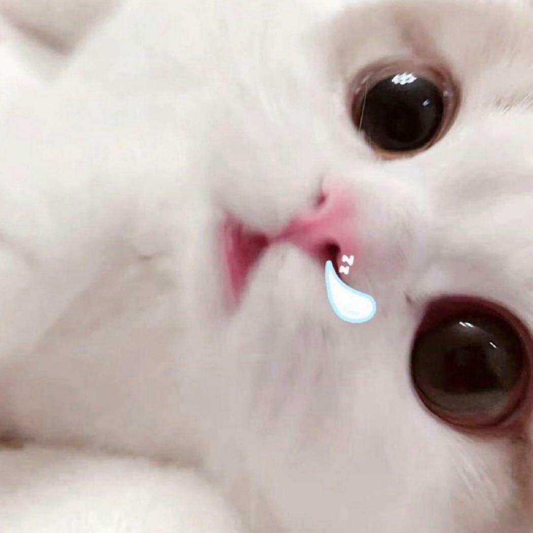 笔记