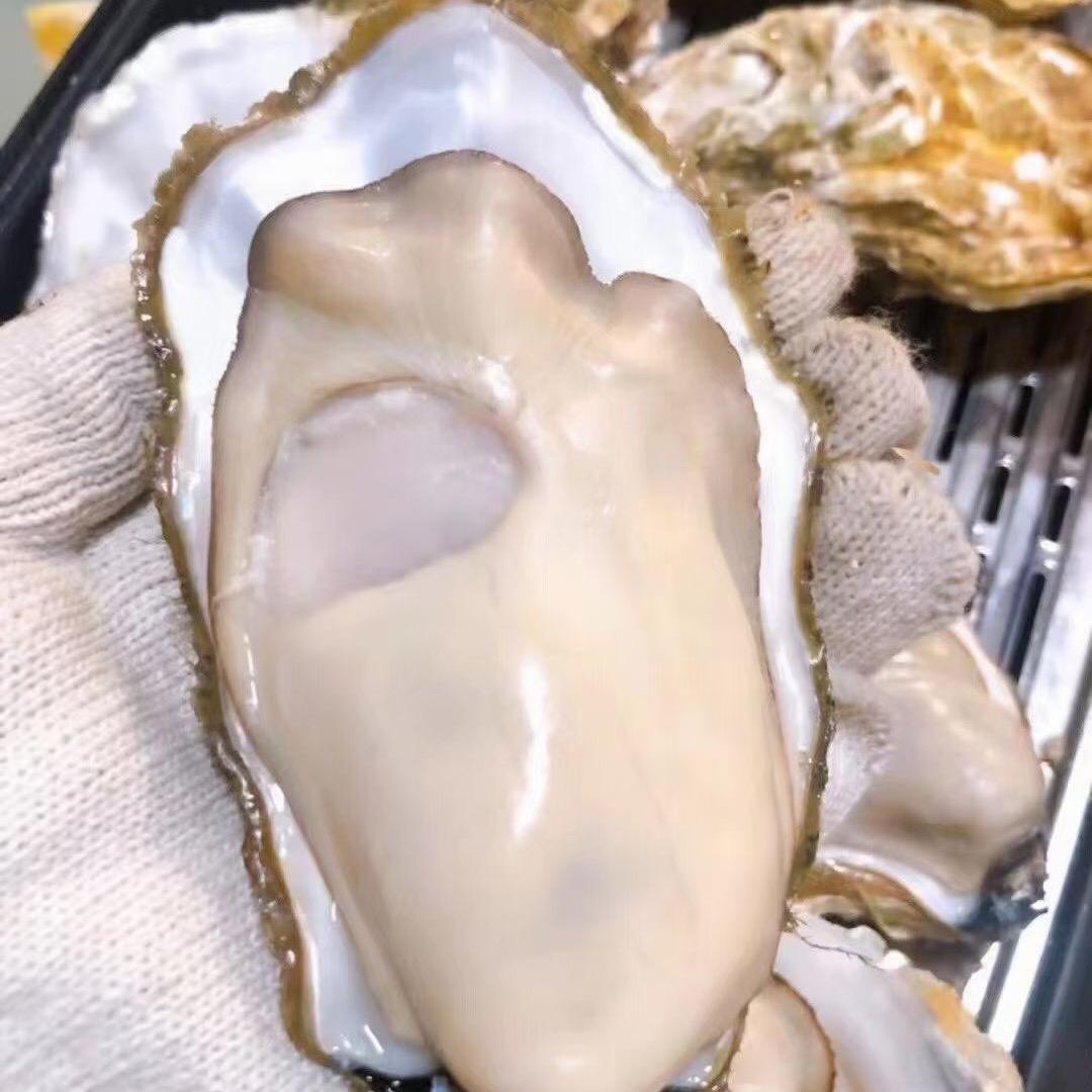 泰安鱼王海鲜