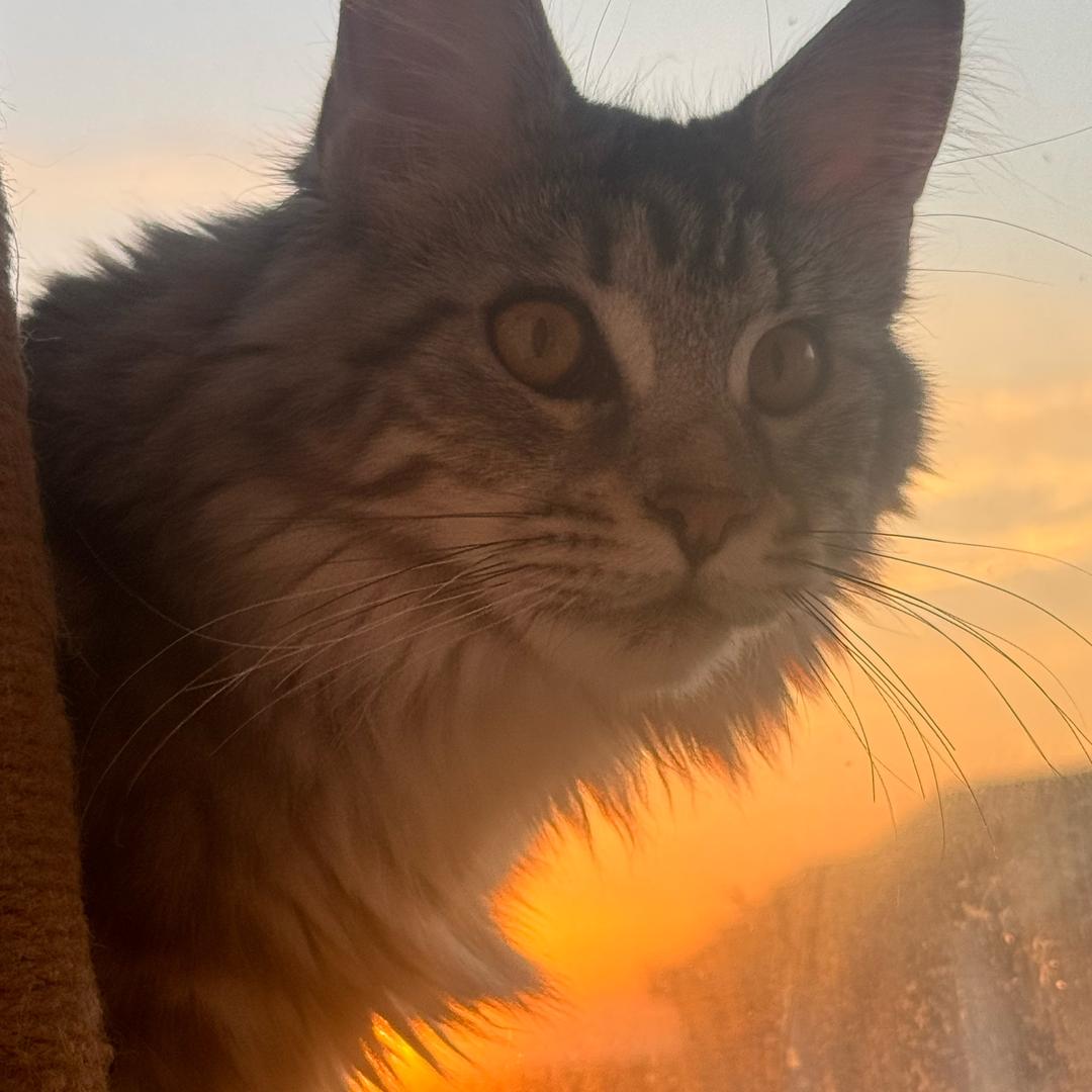 Ruby