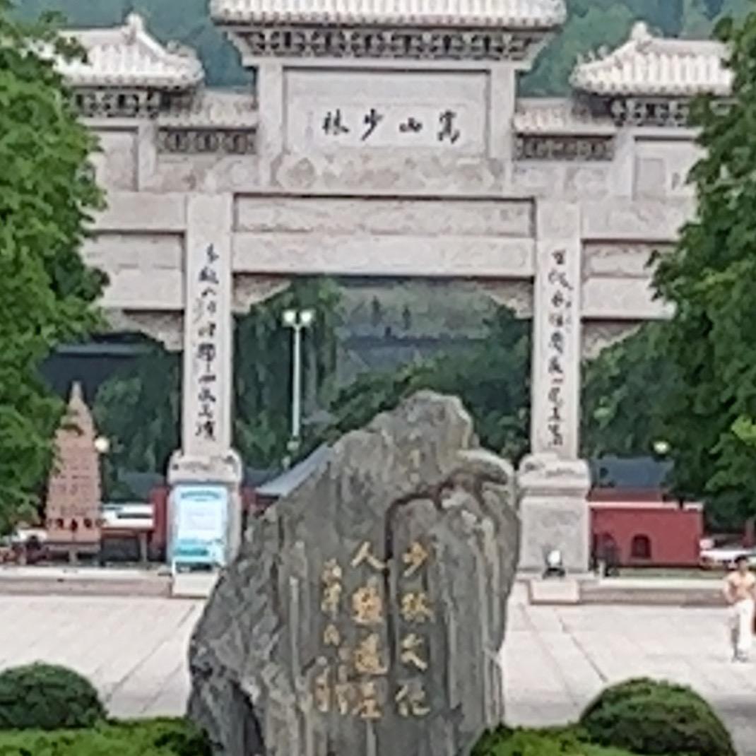 70后的羊