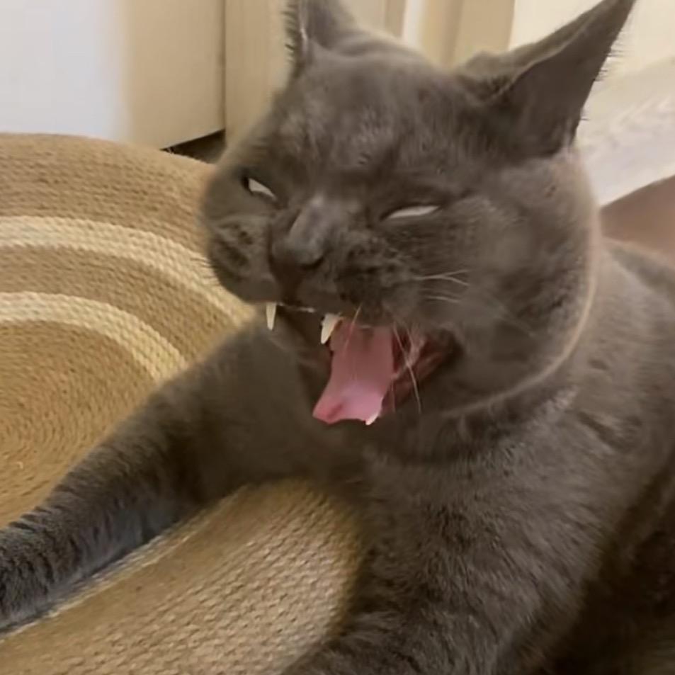 小丑