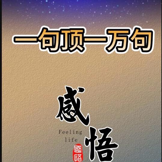 木子智慧说