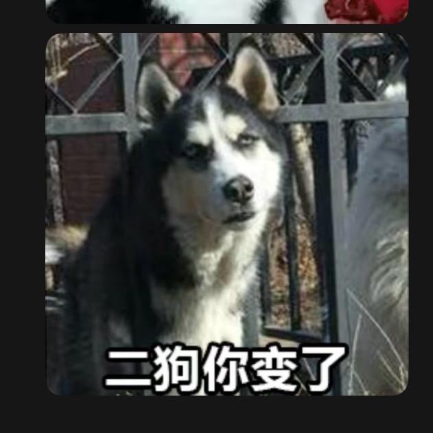 文and经已好惊
