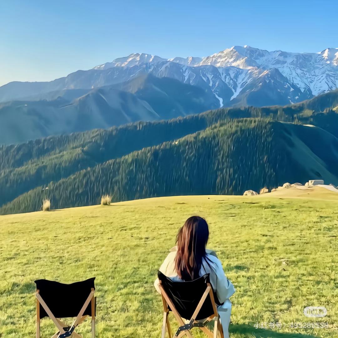 一枚灵动的公子