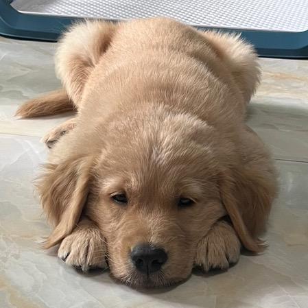 点点可爱&幸福99