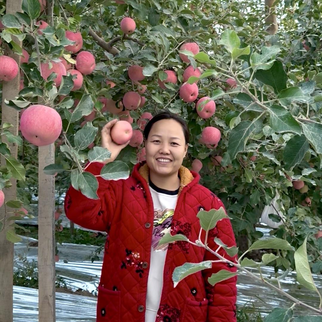 阿克苏市疆果味