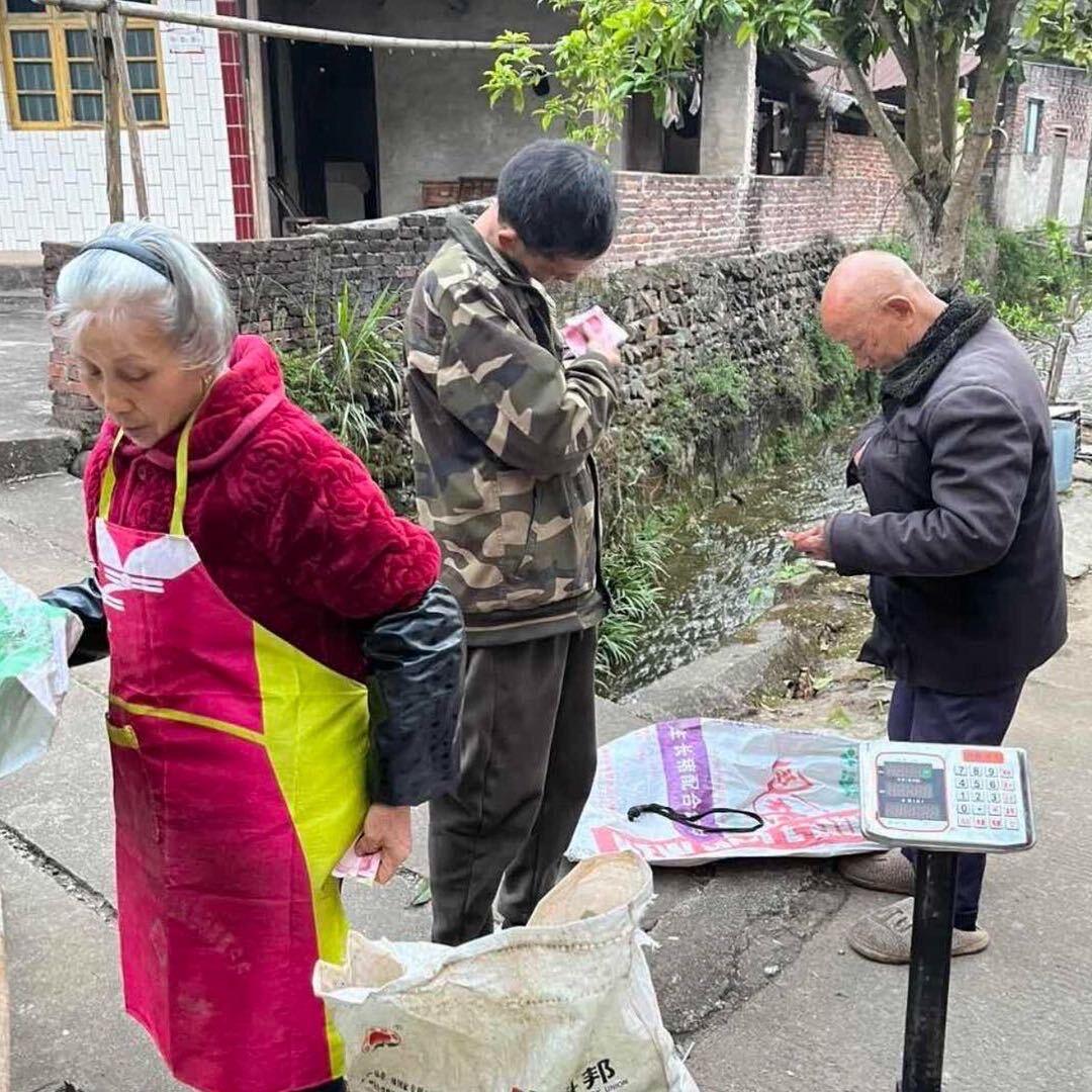 山里王子（远军）