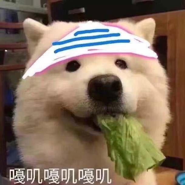 夏耳朵kaka