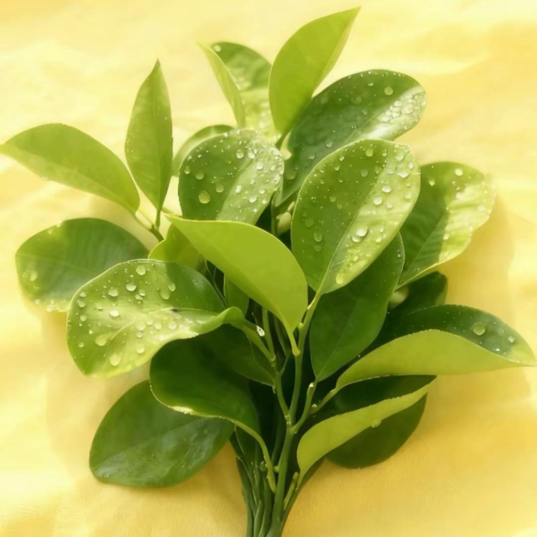 90年护肤的老阿姨