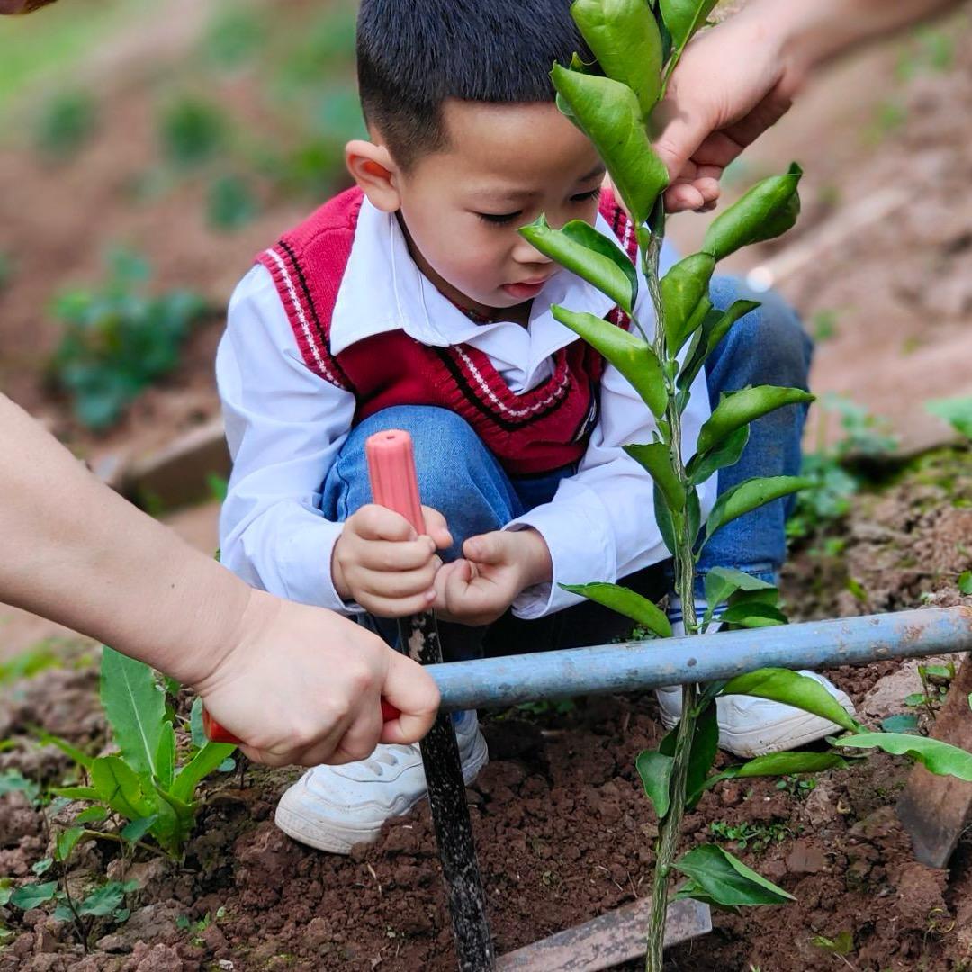 静静（拒绝私聊）
