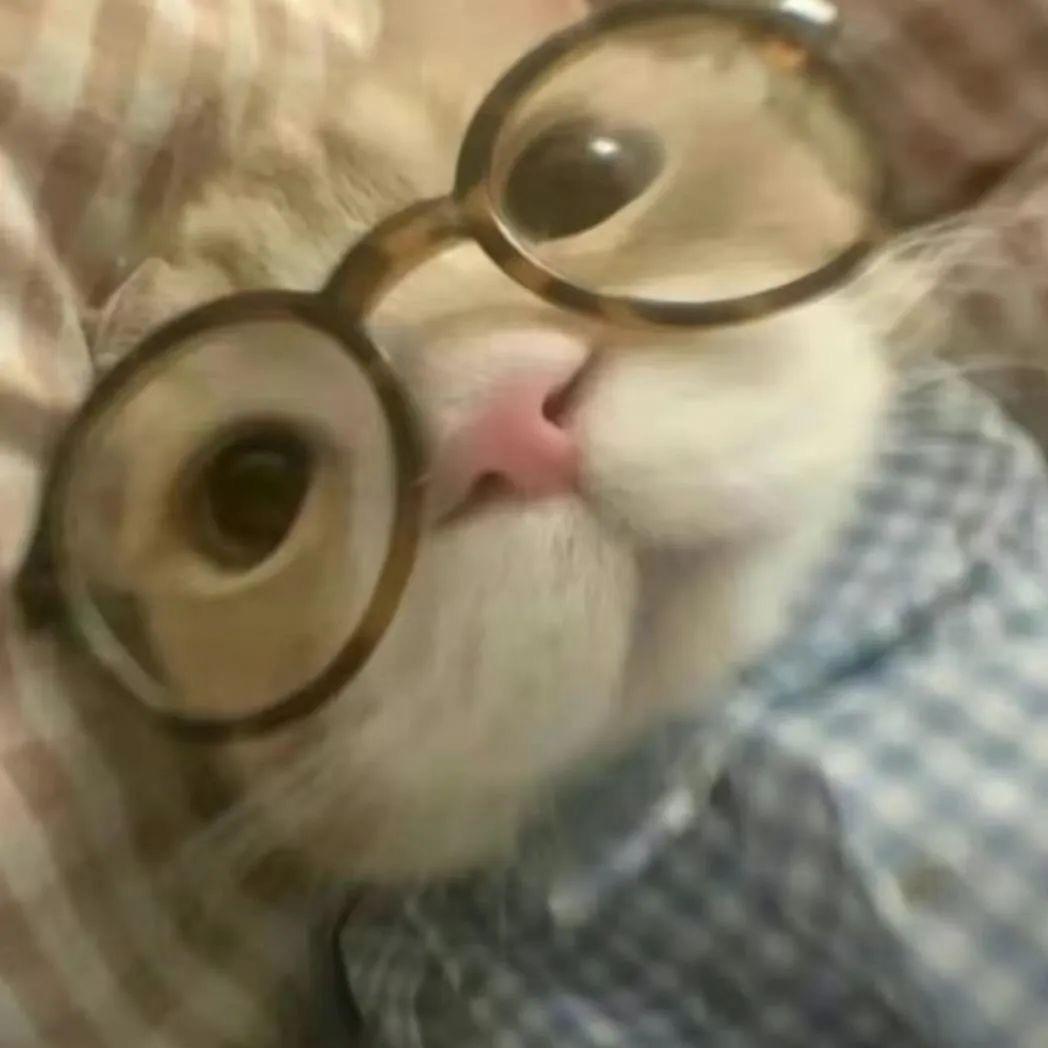 迟迟.