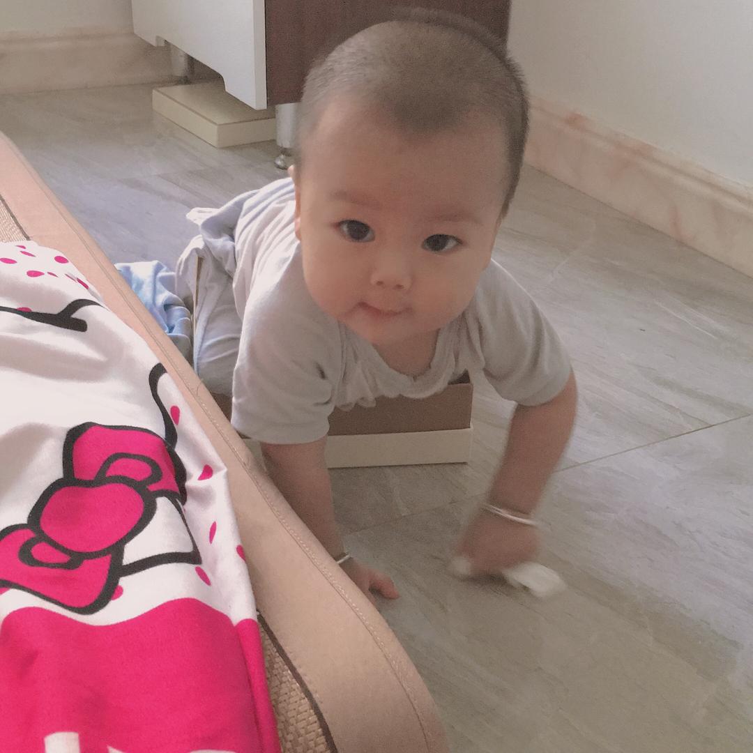 小宝弟