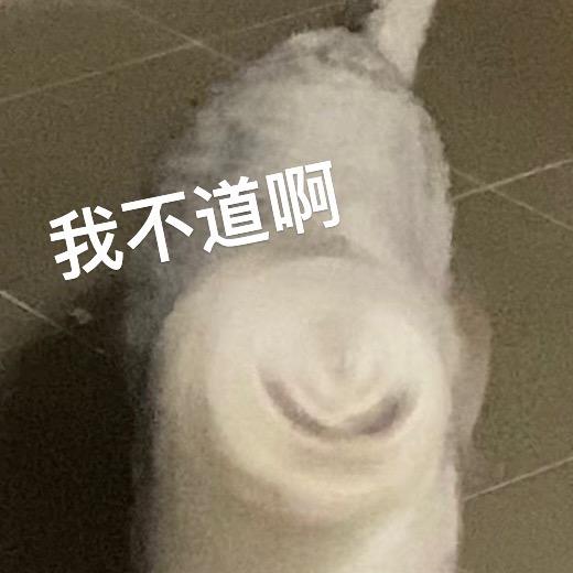 下山修行的90后