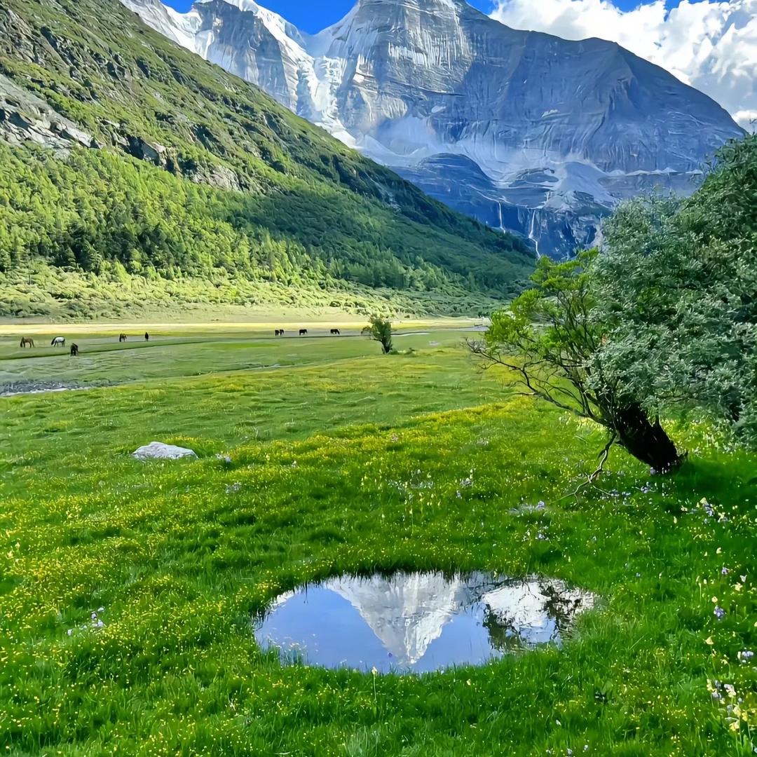 驻马店雅居房产