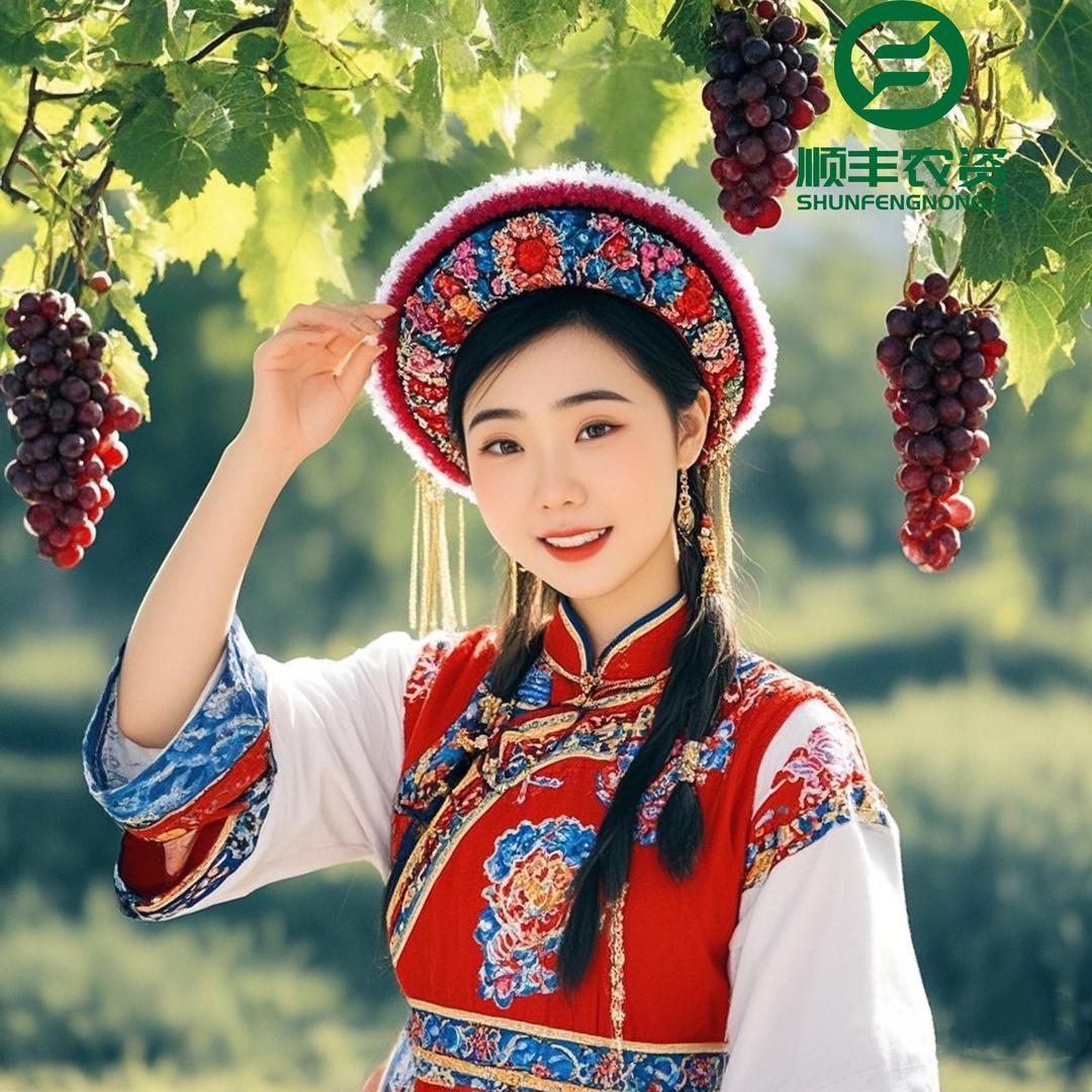 小郭在田间-宾川顺丰农资 13:30直播