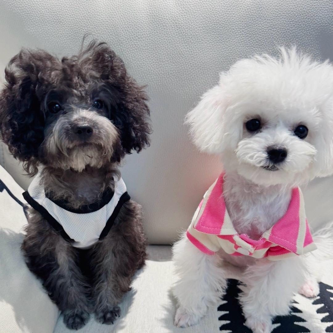 🎀对你而言💕～