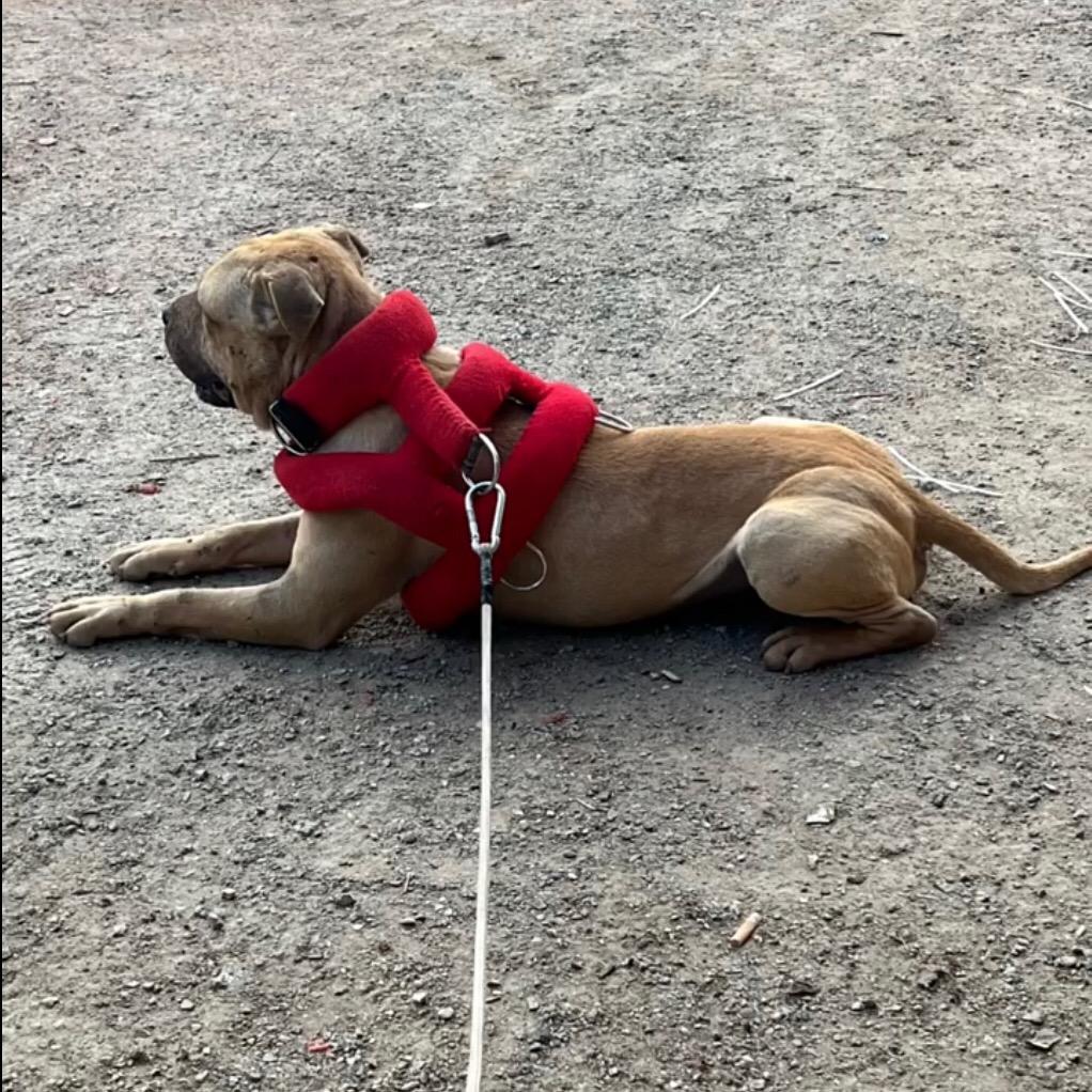 比特实战爱好者