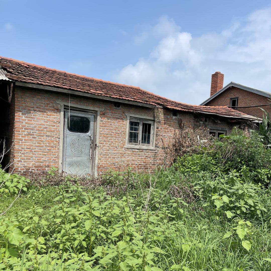 东北大漂亮农产品