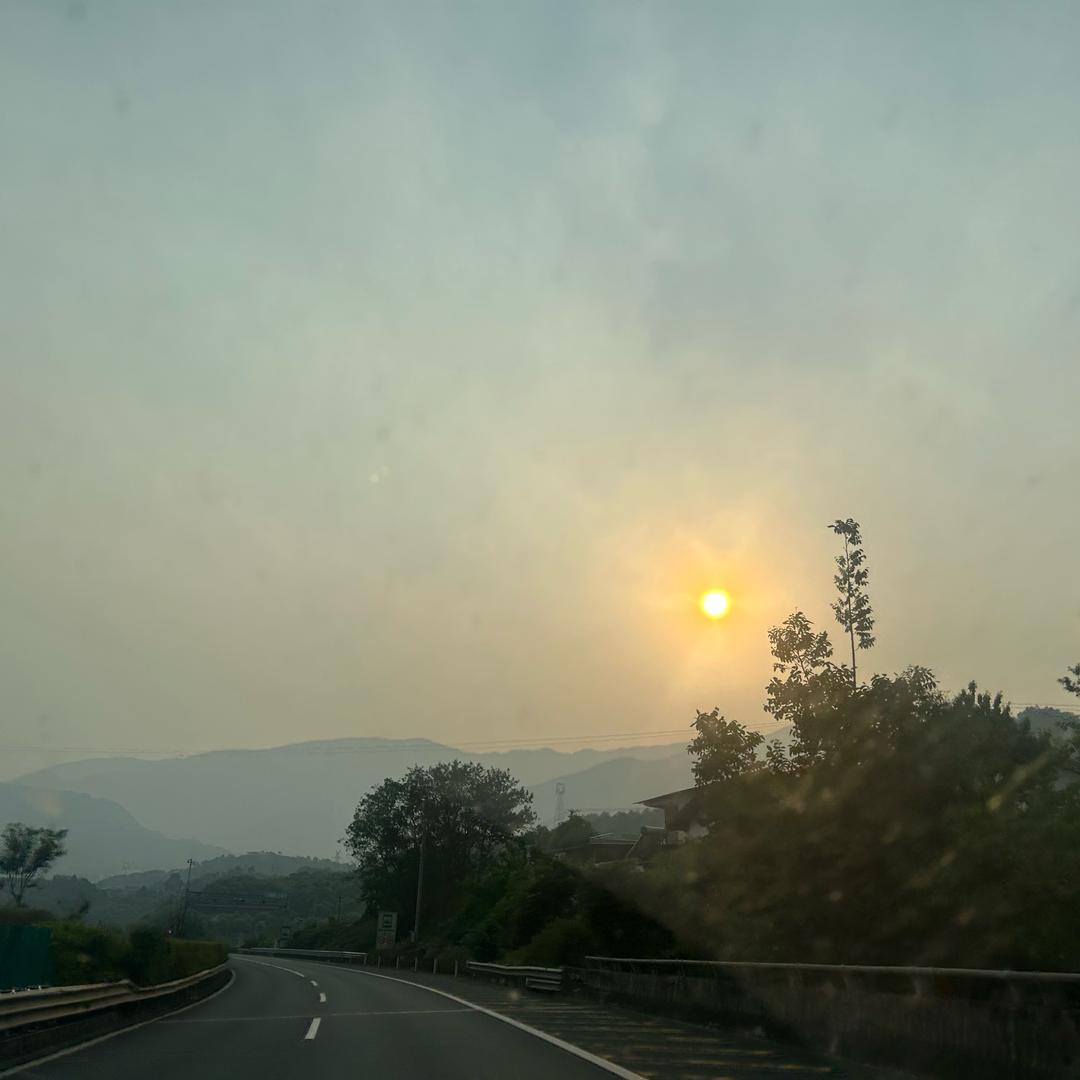 芳芳子👩‍🦰