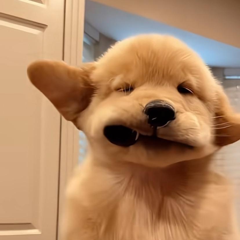 小邓小邓🧚‍♀️奶茶不剩👩🏻‍🍳