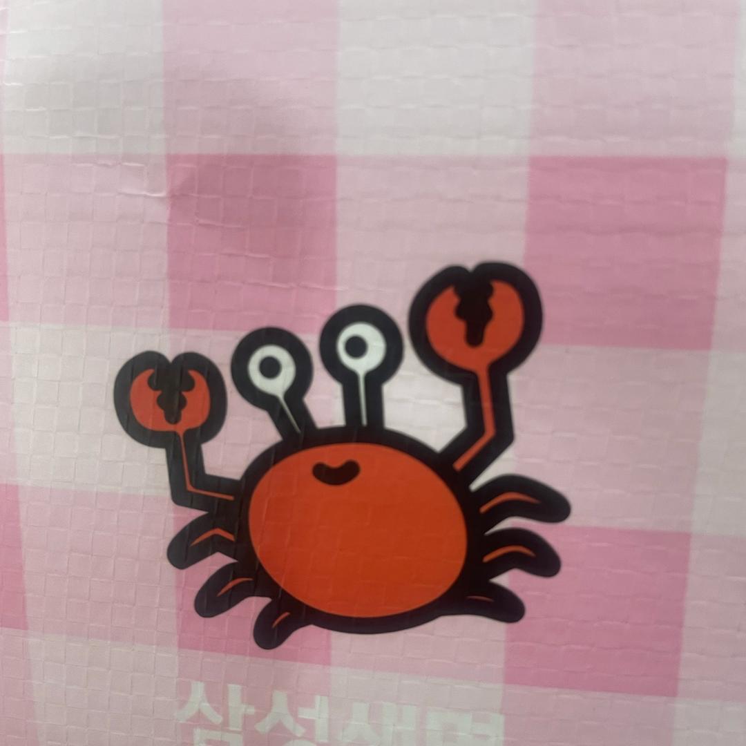 偶系晓晓