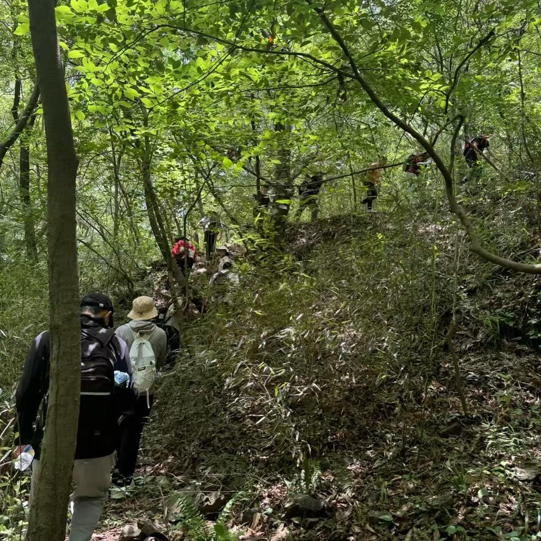 打野的法师