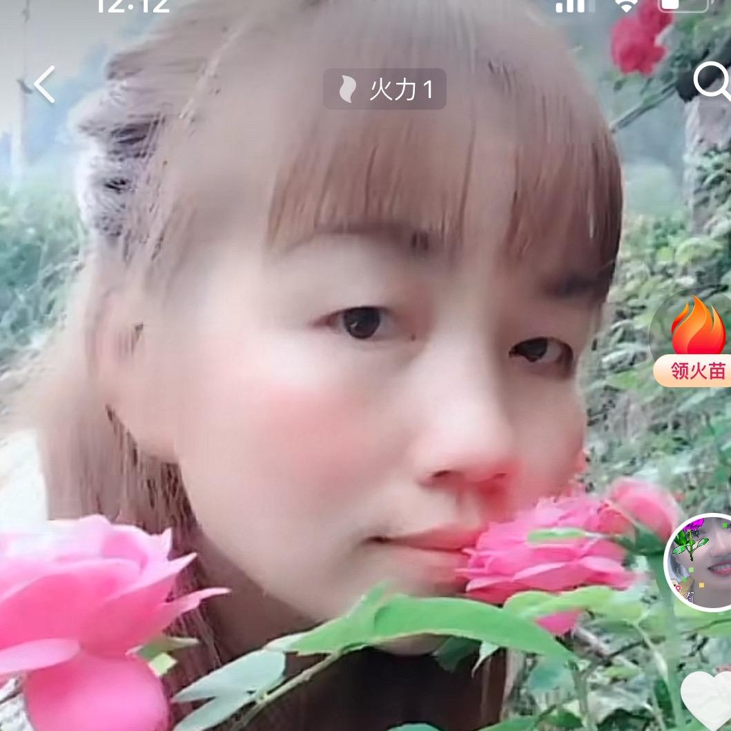 九妹